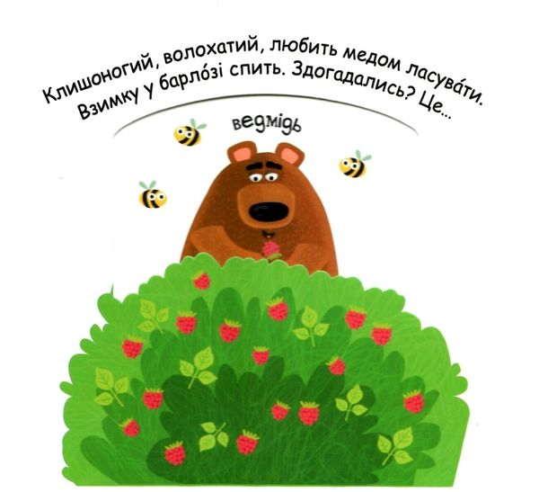 сторінки-цікавинки тварини в лісі книжка-картонка Ціна (цена) 360.00грн. | придбати  купити (купить) сторінки-цікавинки тварини в лісі книжка-картонка доставка по Украине, купить книгу, детские игрушки, компакт диски 3