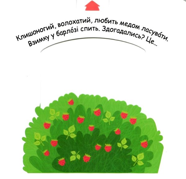 сторінки-цікавинки тварини в лісі книжка-картонка Ціна (цена) 371.20грн. | придбати  купити (купить) сторінки-цікавинки тварини в лісі книжка-картонка доставка по Украине, купить книгу, детские игрушки, компакт диски 2