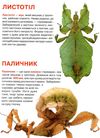 велика книжка комахи книга Ціна (цена) 39.11грн. | придбати  купити (купить) велика книжка комахи книга доставка по Украине, купить книгу, детские игрушки, компакт диски 3