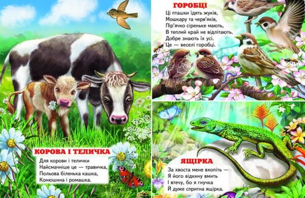 віршики про тварин Ціна (цена) 116.60грн. | придбати  купити (купить) віршики про тварин доставка по Украине, купить книгу, детские игрушки, компакт диски 7