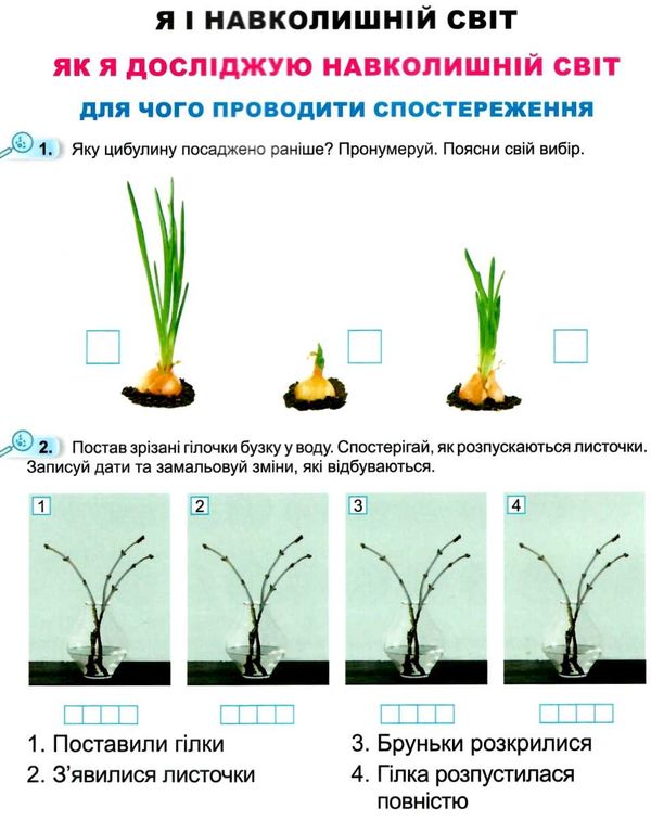 я досліджую світ робочий зошит 1 клас частина 2   НУШ Ціна (цена) 42.50грн. | придбати  купити (купить) я досліджую світ робочий зошит 1 клас частина 2   НУШ доставка по Украине, купить книгу, детские игрушки, компакт диски 3