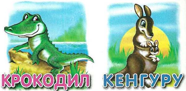 хтосики кіт картонка книга    формат А7 Ціна (цена) 22.60грн. | придбати  купити (купить) хтосики кіт картонка книга    формат А7 доставка по Украине, купить книгу, детские игрушки, компакт диски 2
