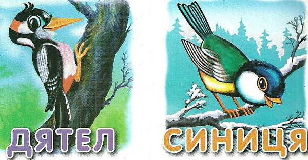 хтосики кіт картонка книга    формат А7 Ціна (цена) 22.60грн. | придбати  купити (купить) хтосики кіт картонка книга    формат А7 доставка по Украине, купить книгу, детские игрушки, компакт диски 3