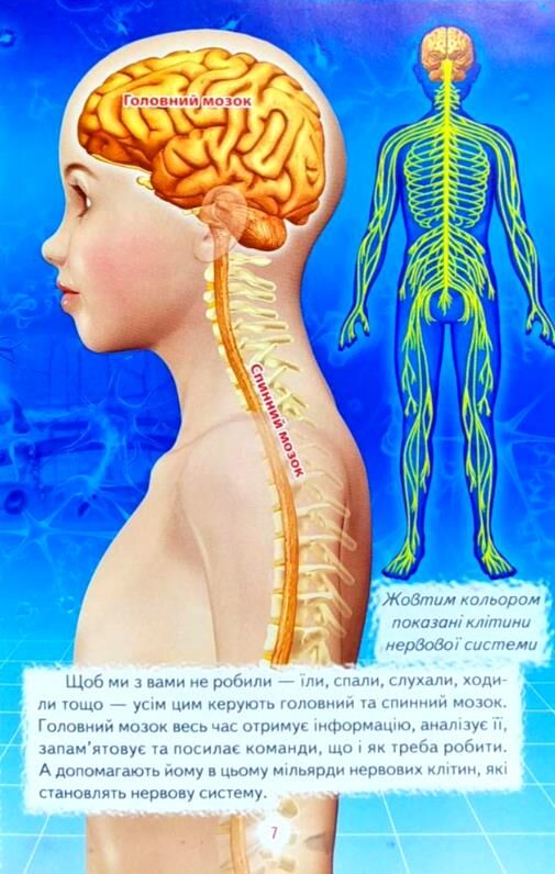 людина книга   купити (серія пізнаємо світ разом) Ціна (цена) 100.50грн. | придбати  купити (купить) людина книга   купити (серія пізнаємо світ разом) доставка по Украине, купить книгу, детские игрушки, компакт диски 7