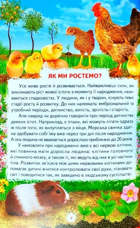 людина книга   купити (серія пізнаємо світ разом) Ціна (цена) 100.50грн. | придбати  купити (купить) людина книга   купити (серія пізнаємо світ разом) доставка по Украине, купить книгу, детские игрушки, компакт диски 4