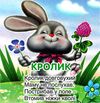 чубач це хто котик картонка книга    формат А6 Ціна (цена) 56.50грн. | придбати  купити (купить) чубач це хто котик картонка книга    формат А6 доставка по Украине, купить книгу, детские игрушки, компакт диски 3