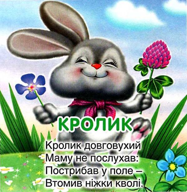 чубач це хто котик картонка книга    формат А6 Ціна (цена) 56.50грн. | придбати  купити (купить) чубач це хто котик картонка книга    формат А6 доставка по Украине, купить книгу, детские игрушки, компакт диски 3