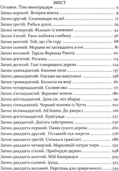 мафтей книга написана сухим пером Дочинець Ціна (цена) 208.00грн. | придбати  купити (купить) мафтей книга написана сухим пером Дочинець доставка по Украине, купить книгу, детские игрушки, компакт диски 2