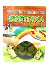 іграшка дитяча игрушка детская дерев'яна розмальовка черепаха артикул SG0244 Ціна (цена) 16.20грн. | придбати  купити (купить) іграшка дитяча игрушка детская дерев'яна розмальовка черепаха артикул SG0244 доставка по Украине, купить книгу, детские игрушки, компакт диски 0