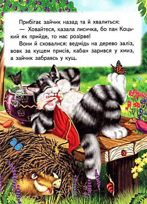 пан коцький серія казкова мозаїка картонка формат А5 Ціна (цена) 30.20грн. | придбати  купити (купить) пан коцький серія казкова мозаїка картонка формат А5 доставка по Украине, купить книгу, детские игрушки, компакт диски 2