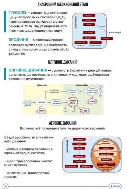 ЗНО Біологія Підготовка до ЗНО TURBO Ціна (цена) 557.40грн. | придбати  купити (купить) ЗНО Біологія Підготовка до ЗНО TURBO доставка по Украине, купить книгу, детские игрушки, компакт диски 3