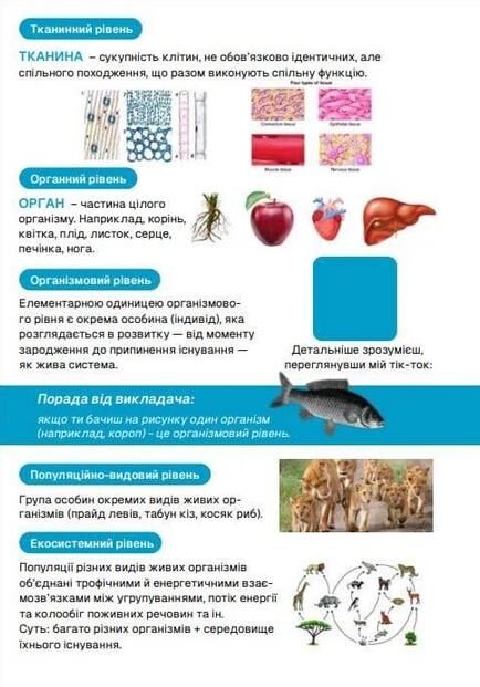 ЗНО Біологія Підготовка до ЗНО TURBO Ціна (цена) 557.40грн. | придбати  купити (купить) ЗНО Біологія Підготовка до ЗНО TURBO доставка по Украине, купить книгу, детские игрушки, компакт диски 1