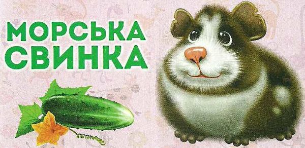 домашні улюбленці картонка книга    формат А7 Ціна (цена) 19.50грн. | придбати  купити (купить) домашні улюбленці картонка книга    формат А7 доставка по Украине, купить книгу, детские игрушки, компакт диски 1