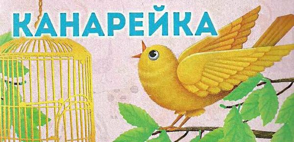 домашні улюбленці картонка книга    формат А7 Ціна (цена) 19.50грн. | придбати  купити (купить) домашні улюбленці картонка книга    формат А7 доставка по Украине, купить книгу, детские игрушки, компакт диски 2