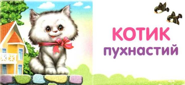 хто який картонка книга    формат А7 Ціна (цена) 23.60грн. | придбати  купити (купить) хто який картонка книга    формат А7 доставка по Украине, купить книгу, детские игрушки, компакт диски 2