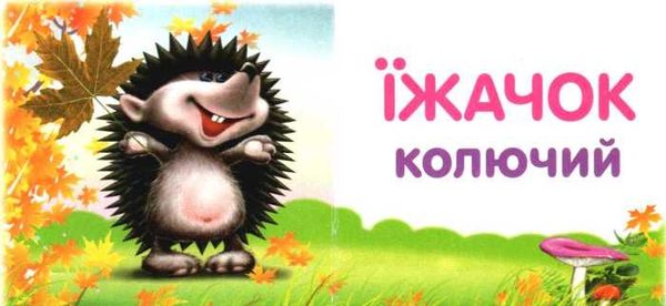 хто який картонка книга    формат А7 Ціна (цена) 23.60грн. | придбати  купити (купить) хто який картонка книга    формат А7 доставка по Украине, купить книгу, детские игрушки, компакт диски 3
