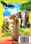 тваринний світ ілюстрована енциклопедія книга Ціна (цена) 328.30грн. | придбати  купити (купить) тваринний світ ілюстрована енциклопедія книга доставка по Украине, купить книгу, детские игрушки, компакт диски 14