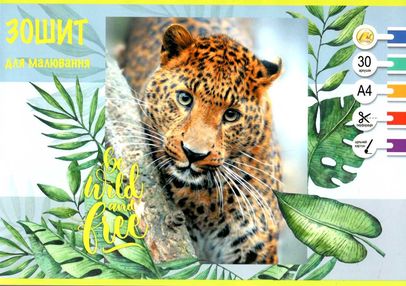 альбом для малювання 30 аркушів 120гр/м скоба малюнок в асортименті "Тетрада" або "Мандарин"