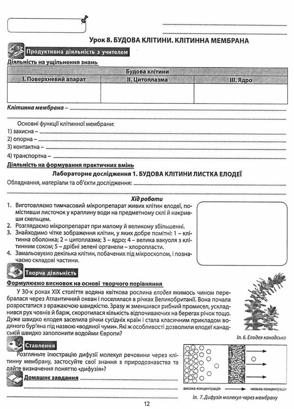 зошит з біології 6 клас робочий лабораторні дослідження практичні роботи Ціна (цена) 62.90грн. | придбати  купити (купить) зошит з біології 6 клас робочий лабораторні дослідження практичні роботи доставка по Украине, купить книгу, детские игрушки, компакт диски 3