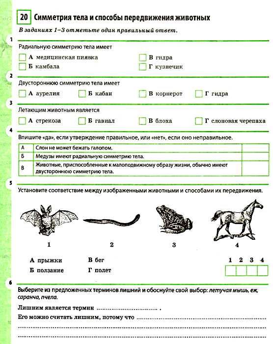 биология 7 класс рабочая тетрадь новая программа Ціна (цена) 43.40грн. | придбати  купити (купить) биология 7 класс рабочая тетрадь новая программа доставка по Украине, купить книгу, детские игрушки, компакт диски 4