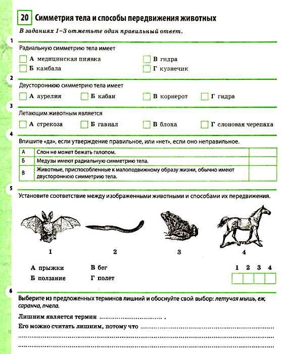 биология 7 класс рабочая тетрадь новая программа Ціна (цена) 33.60грн. | придбати  купити (купить) биология 7 класс рабочая тетрадь новая программа доставка по Украине, купить книгу, детские игрушки, компакт диски 4