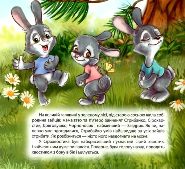 клапчук зайченя заздрик книга    (серія виховання казкою) Ціна (цена) 52.00грн. | придбати  купити (купить) клапчук зайченя заздрик книга    (серія виховання казкою) доставка по Украине, купить книгу, детские игрушки, компакт диски 2