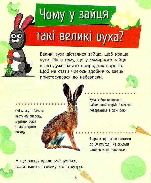 чомусики тварини запитання та відповіді книга  Уточнюйте  строки доставки (2-5 діб) Ціна (цена) 37.90грн. | придбати  купити (купить) чомусики тварини запитання та відповіді книга  Уточнюйте  строки доставки (2-5 діб) доставка по Украине, купить книгу, детские игрушки, компакт диски 4