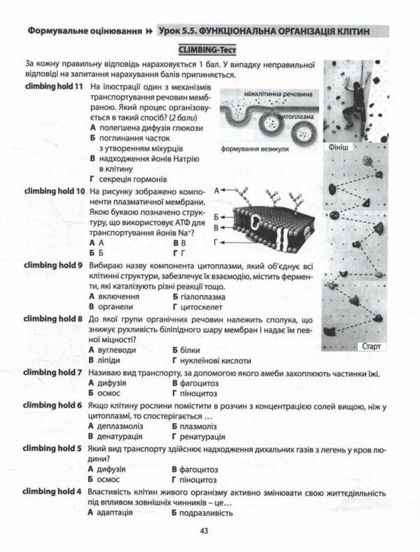 Біологія 9 клас Зошит для оцінювання НУШ Ціна (цена) 199.40грн. | придбати  купити (купить) Біологія 9 клас Зошит для оцінювання НУШ доставка по Украине, купить книгу, детские игрушки, компакт диски 5