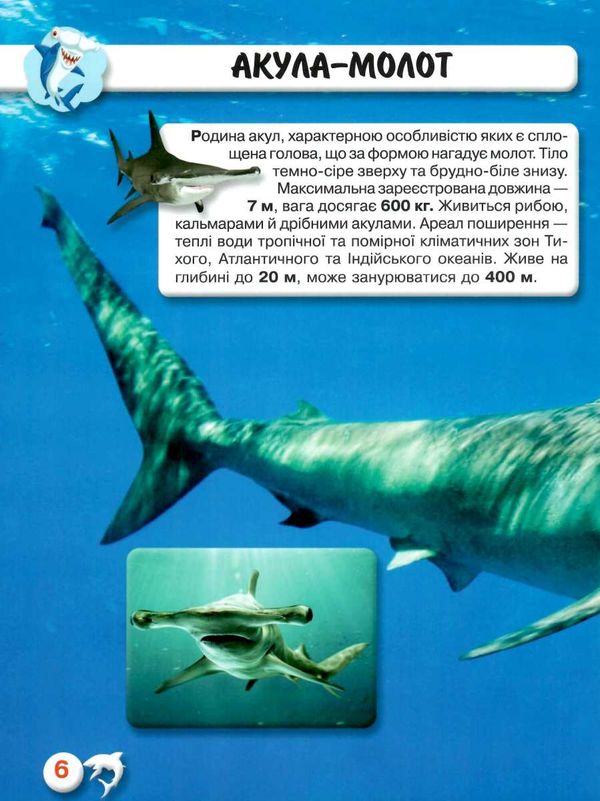 світ навколо нас акули книга Ціна (цена) 182.00грн. | придбати  купити (купить) світ навколо нас акули книга доставка по Украине, купить книгу, детские игрушки, компакт диски 3