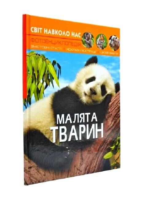 Світ навколо нас малята тварин книга Ціна (цена) 161.90грн. | придбати  купити (купить) Світ навколо нас малята тварин книга доставка по Украине, купить книгу, детские игрушки, компакт диски 0