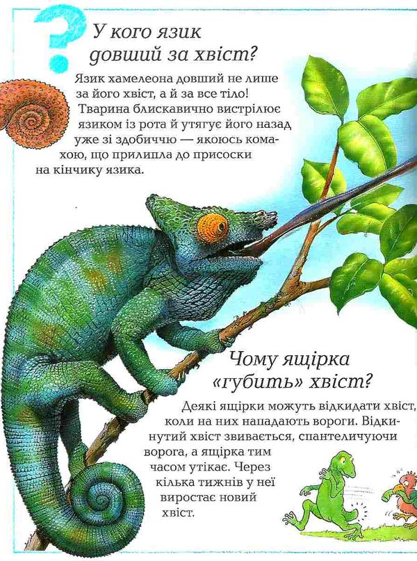 велика дитяча енциклопедія Рідна мова Ціна (цена) 434.01грн. | придбати  купити (купить) велика дитяча енциклопедія Рідна мова доставка по Украине, купить книгу, детские игрушки, компакт диски 13