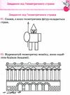 математика розвязуємо нестандартні задачі серія початкова школа книга   купити ці РОЗПРОДАЖ Ціна (цена) 62.60грн. | придбати  купити (купить) математика розвязуємо нестандартні задачі серія початкова школа книга   купити ці РОЗПРОДАЖ доставка по Украине, купить книгу, детские игрушки, компакт диски 5