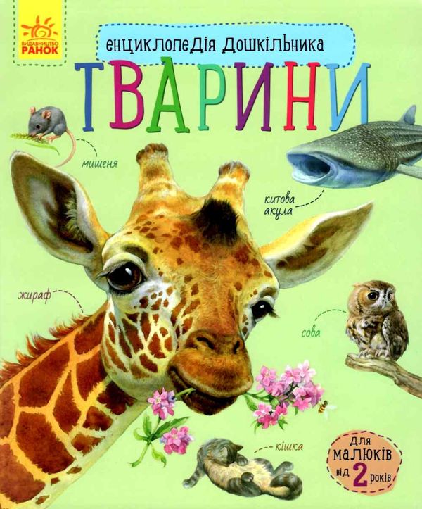 енциклопедія дошкільника тварини книга Ціна (цена) 54.94грн. | придбати  купити (купить) енциклопедія дошкільника тварини книга доставка по Украине, купить книгу, детские игрушки, компакт диски 1