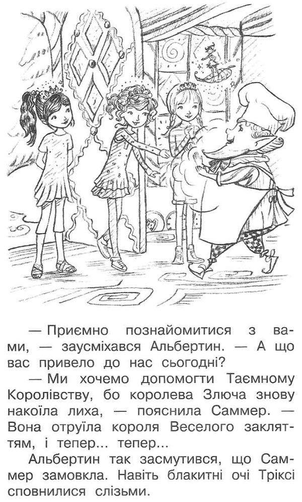 таємне королівство пекарня ельфів Ціна (цена) 110.20грн. | придбати  купити (купить) таємне королівство пекарня ельфів доставка по Украине, купить книгу, детские игрушки, компакт диски 5