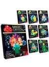 набір для проведення дослідів magic crystal в асортименті Ціна (цена) 47.20грн. | придбати  купити (купить) набір для проведення дослідів magic crystal в асортименті доставка по Украине, купить книгу, детские игрушки, компакт диски 2