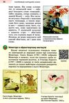 зарубіжна література 5 клас підручник Ніколенко купити Ціна (цена) 338.00грн. | придбати купити (купить) зарубіжна література 5 клас підручник Ніколенко купити доставка по Украине, купить книгу, детские игрушки, компакт диски 4 зарубіжна література 5 клас підручник Ніколенко купити Ціна (цена) 338.00грн. | придбати купити (купить) зарубіжна література 5 клас підручник Ніколенко купити доставка по Украине, купить книгу, детские игрушки, компакт диски 4
