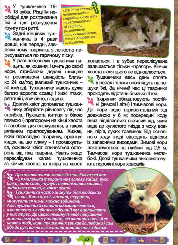 велика енциклопедія про тварин дивовижні факти книга Ціна (цена) 282.10грн. | придбати  купити (купить) велика енциклопедія про тварин дивовижні факти книга доставка по Украине, купить книгу, детские игрушки, компакт диски 6