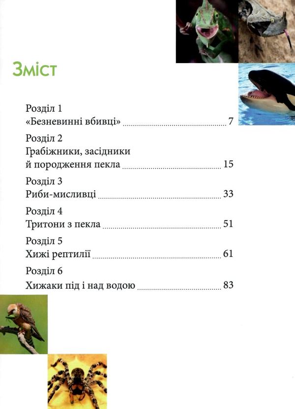 енциклопедія для допитливих найнебезпечніші істоти планети книга    (формат А-5 Ціна (цена) 94.10грн. | придбати  купити (купить) енциклопедія для допитливих найнебезпечніші істоти планети книга    (формат А-5 доставка по Украине, купить книгу, детские игрушки, компакт диски 3