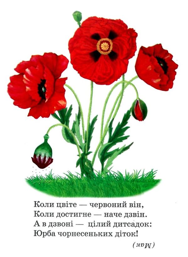 рослини книжка картонка а5 Ціна (цена) 19.20грн. | придбати  купити (купить) рослини книжка картонка а5 доставка по Украине, купить книгу, детские игрушки, компакт диски 3