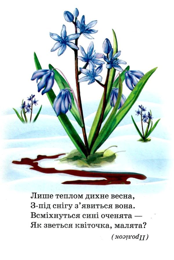 рослини книжка картонка а5 Ціна (цена) 19.20грн. | придбати  купити (купить) рослини книжка картонка а5 доставка по Украине, купить книгу, детские игрушки, компакт диски 2