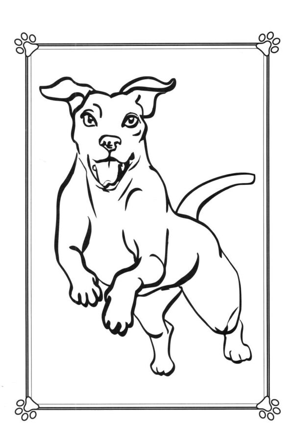 розмальовка формат а4 48 сторінок товста Ціна (цена) 38.10грн. | придбати  купити (купить) розмальовка формат а4 48 сторінок товста доставка по Украине, купить книгу, детские игрушки, компакт диски 14