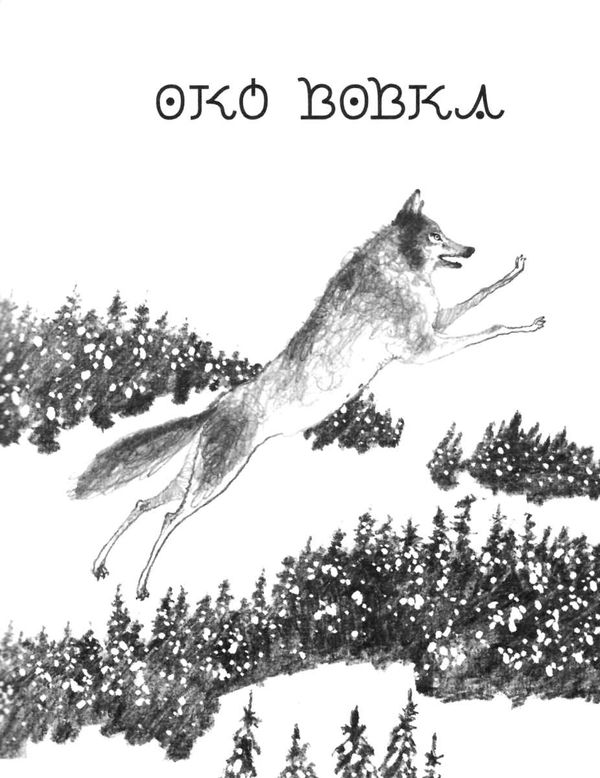 Око вовка Ціна (цена) 108.90грн. | придбати  купити (купить) Око вовка доставка по Украине, купить книгу, детские игрушки, компакт диски 2