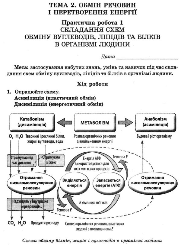зошит з біології 10 клас зошит для лабораторних і практичних робіт Сало Ціна (цена) 24.40грн. | придбати  купити (купить) зошит з біології 10 клас зошит для лабораторних і практичних робіт Сало доставка по Украине, купить книгу, детские игрушки, компакт диски 3
