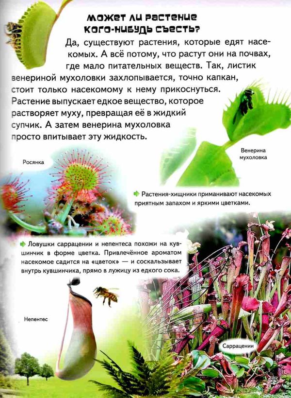 энциклопедия большая почемучки в вопросах и ответах книга Ціна (цена) 281.70грн. | придбати  купити (купить) энциклопедия большая почемучки в вопросах и ответах книга доставка по Украине, купить книгу, детские игрушки, компакт диски 10