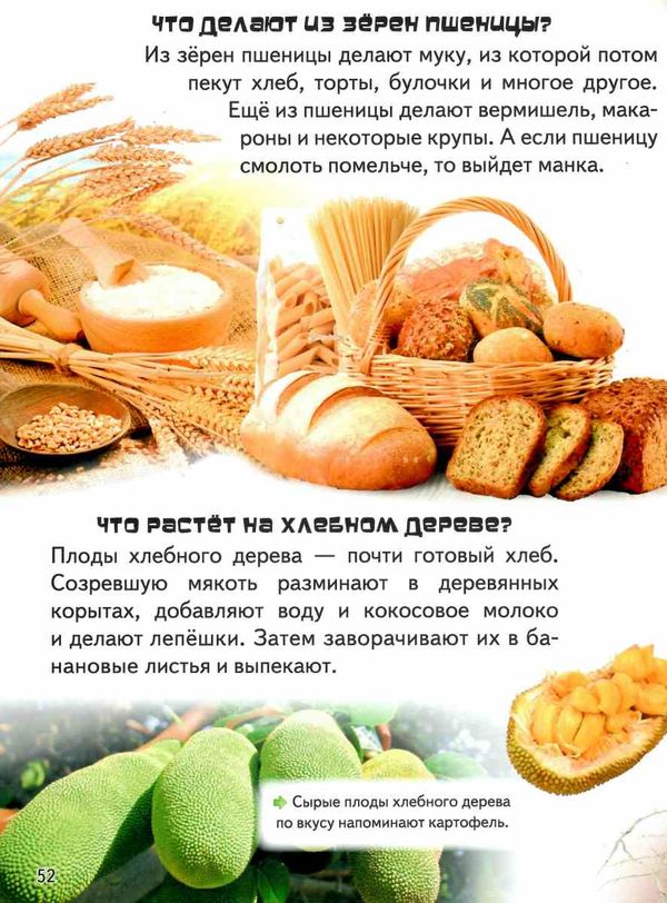 энциклопедия большая почемучки в вопросах и ответах книга Ціна (цена) 281.70грн. | придбати  купити (купить) энциклопедия большая почемучки в вопросах и ответах книга доставка по Украине, купить книгу, детские игрушки, компакт диски 9