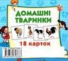 картки міні домашні тварини 18 карток    Джамбі 9789669753687 Ціна (цена) 10.00грн. | придбати  купити (купить) картки міні домашні тварини 18 карток    Джамбі 9789669753687 доставка по Украине, купить книгу, детские игрушки, компакт диски 1