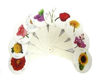 віяло квіти