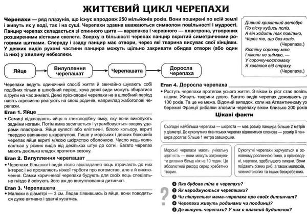 комплект наочності розповімо дітям про життєвий цикл живих організмів    демонс Ціна (цена) 111.60грн. | придбати  купити (купить) комплект наочності розповімо дітям про життєвий цикл живих організмів    демонс доставка по Украине, купить книгу, детские игрушки, компакт диски 4