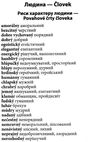 вивчаємо словацьку 2000 найкорисніших словацьких слів і висловів     А Ціна (цена) 23.70грн. | придбати  купити (купить) вивчаємо словацьку 2000 найкорисніших словацьких слів і висловів     А доставка по Украине, купить книгу, детские игрушки, компакт диски 4