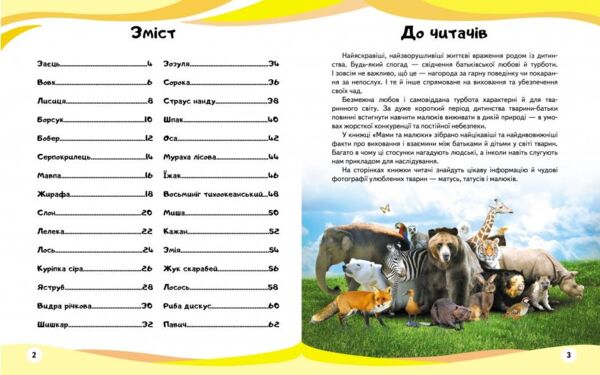 енциклопедія мами та малюки тигр книга    серія енциклопедія у запитаннях та ві Ціна (цена) 75.50грн. | придбати  купити (купить) енциклопедія мами та малюки тигр книга    серія енциклопедія у запитаннях та ві доставка по Украине, купить книгу, детские игрушки, компакт диски 1